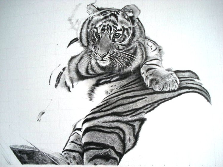 Save_Tigers_WIP1