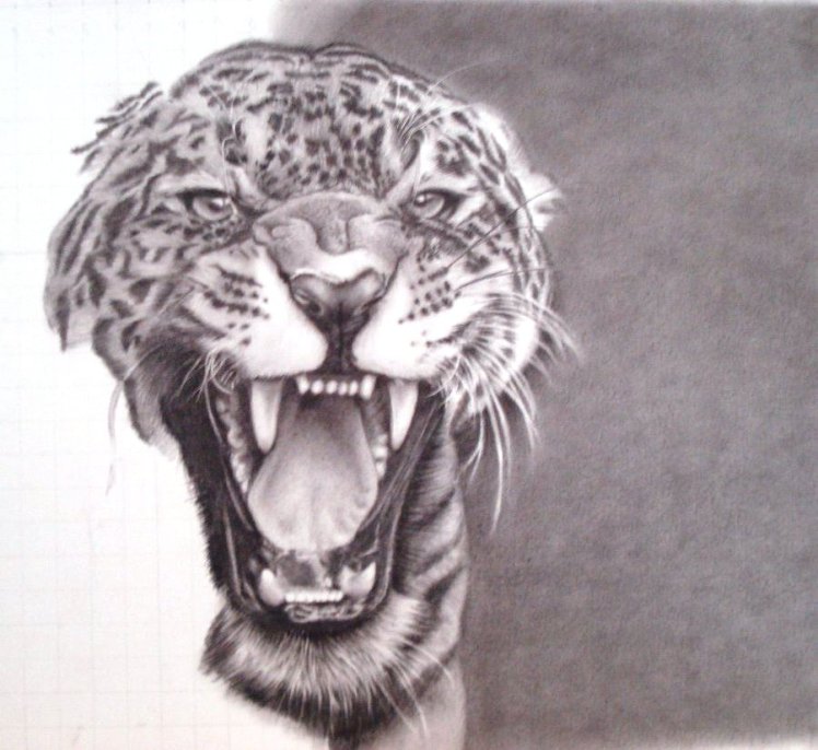 uproar_wip2_by_madhavvv-d5msna1