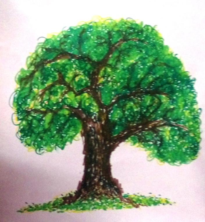 Sketch Tree