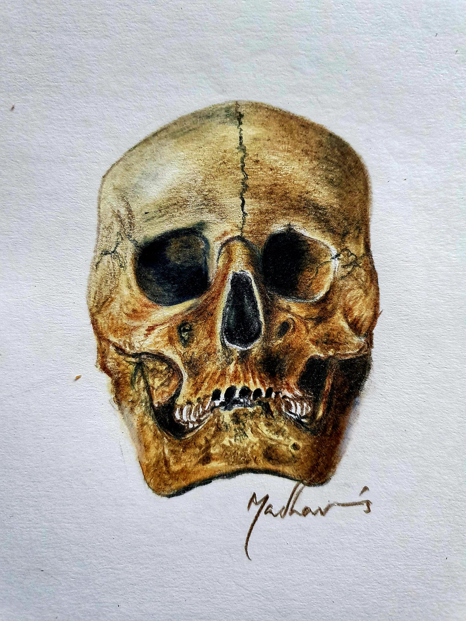 Skull