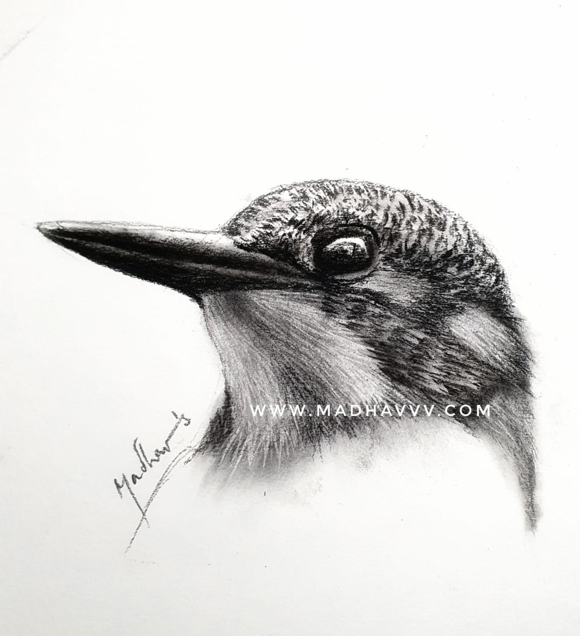 WhatsApp Image 2021-02-27 at 10.34.08 PM