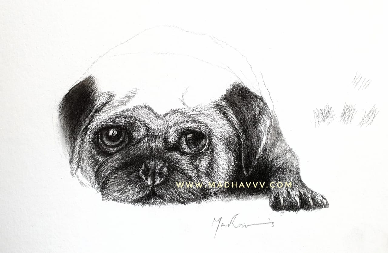 WhatsApp Image 2021-05-30 at 9.13.37 AM