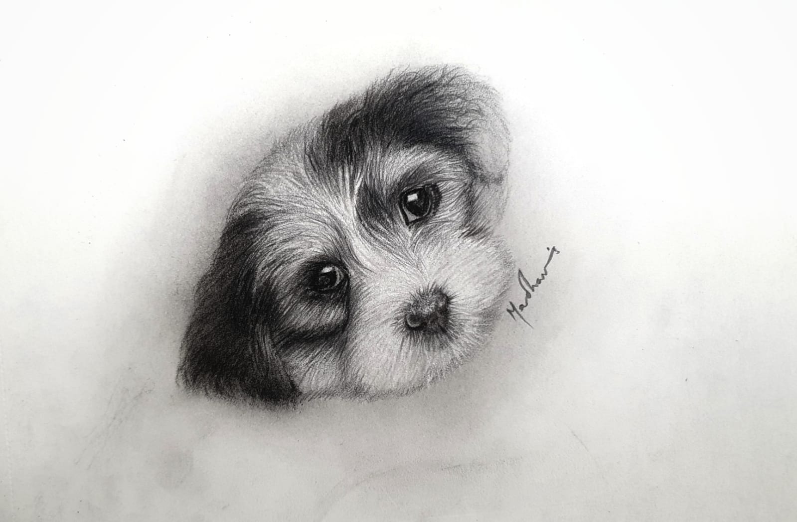 WhatsApp Image 2021-12-18 at 8.34.01 PM