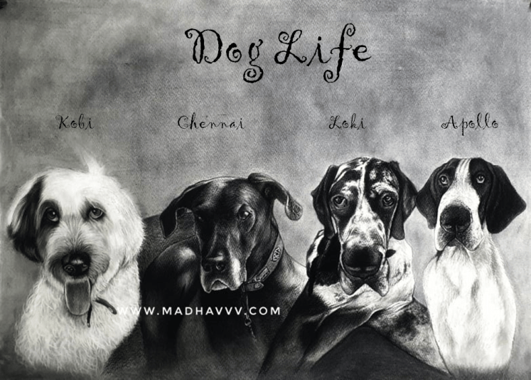 198672816_944273009720835_3869067730098196325_n